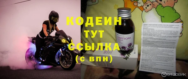 ешки Корсаков