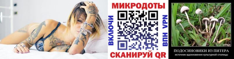 Псилоцибиновые грибы мицелий  Северо-Курильск 